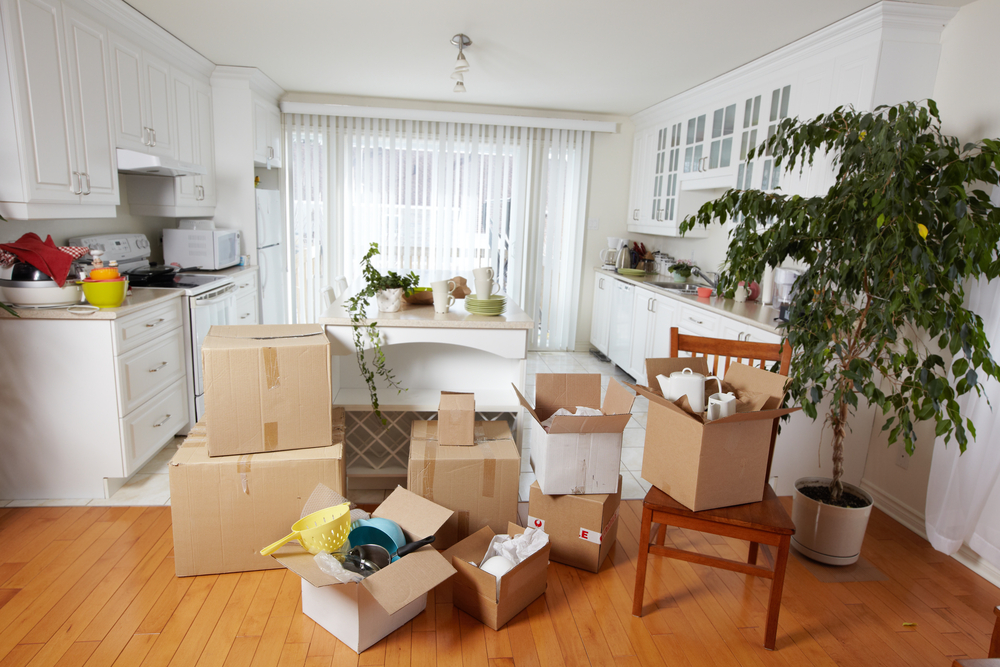 local moving companies moving business storage services good greek moving packing services