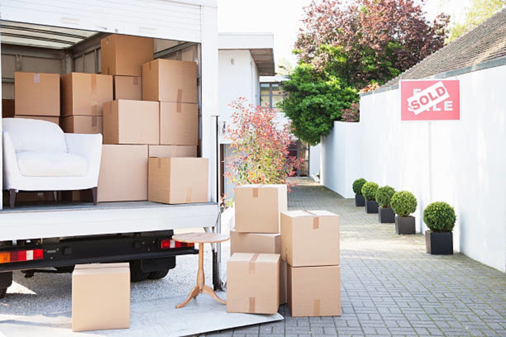 professional movers professional moving company